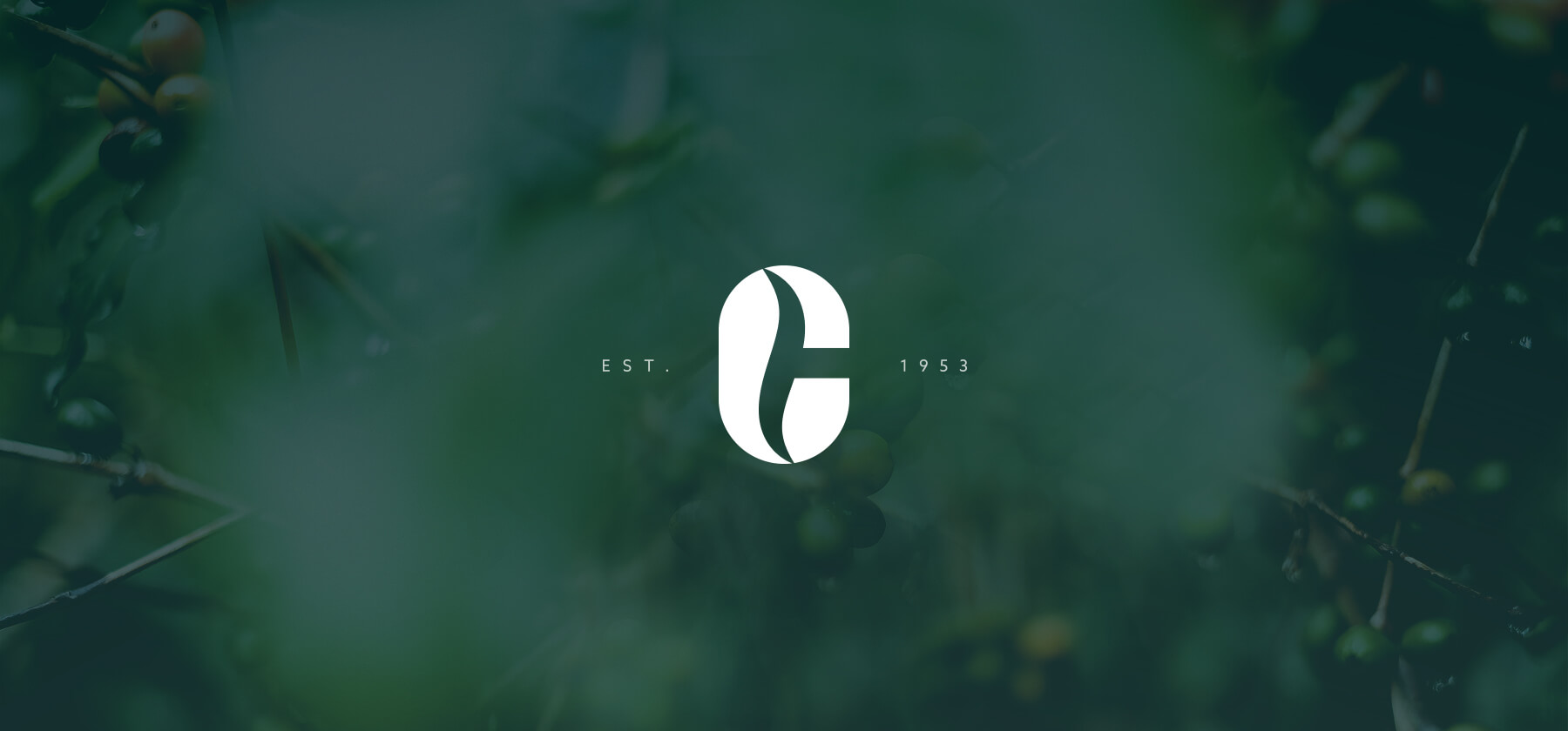 Clemens Tourk Branding